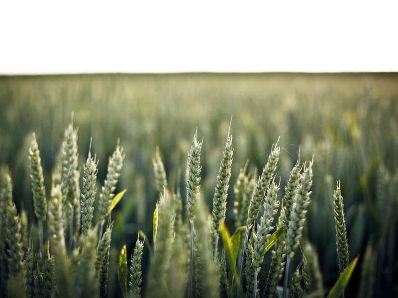 Security Awareness & Training